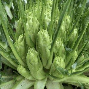 Fresh green artichokes tightly packed together.